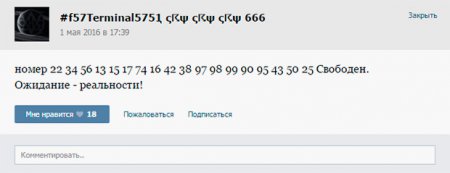 Кто стоит за детскими суицидами и группами смерти во «ВКонтакте»